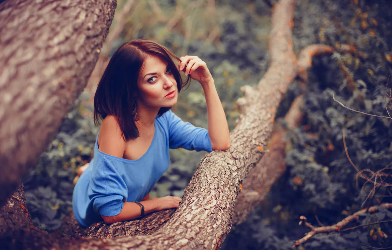 Photo wallpaper Girl, Nature, Brunette, Tree, Autumn, Bokeh, Forest, Outdoor