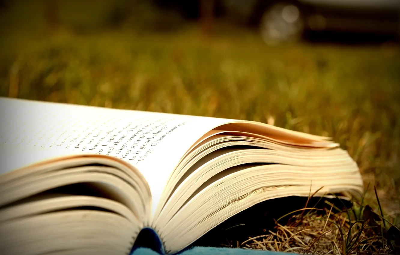 Photo wallpaper leaves, macro, book, bokeh