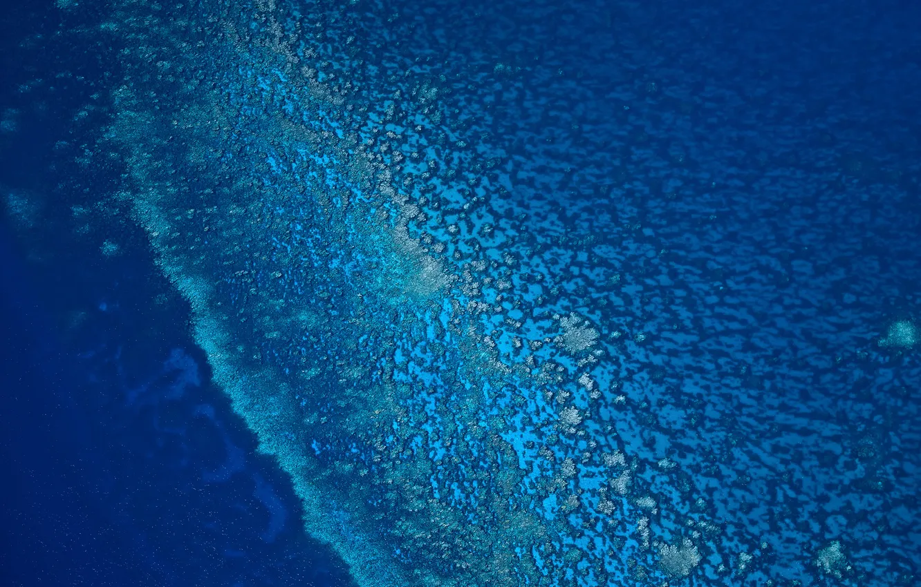 Photo wallpaper sea, blue, fine, coral