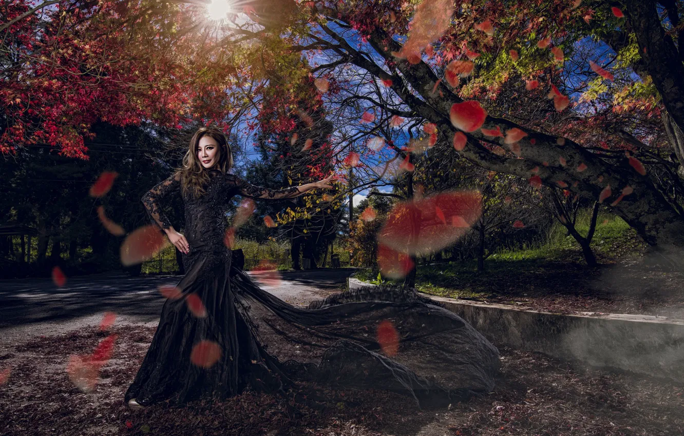 Photo wallpaper girl, trees, street