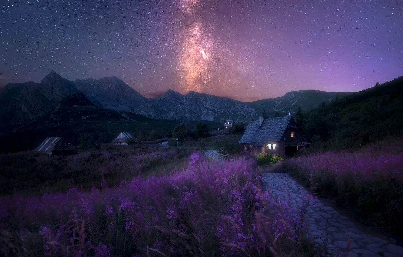 Photo wallpaper flowers, mountains, home, village, galaxy, beautiful landscape, Night Tatras, High Tatras in the night