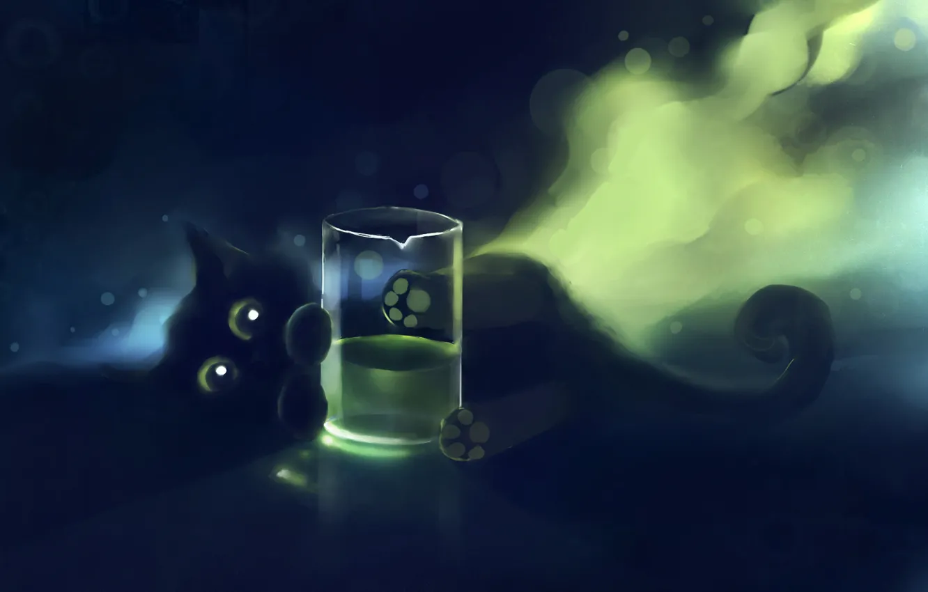 Photo wallpaper cat, glass, kitty, apofiss