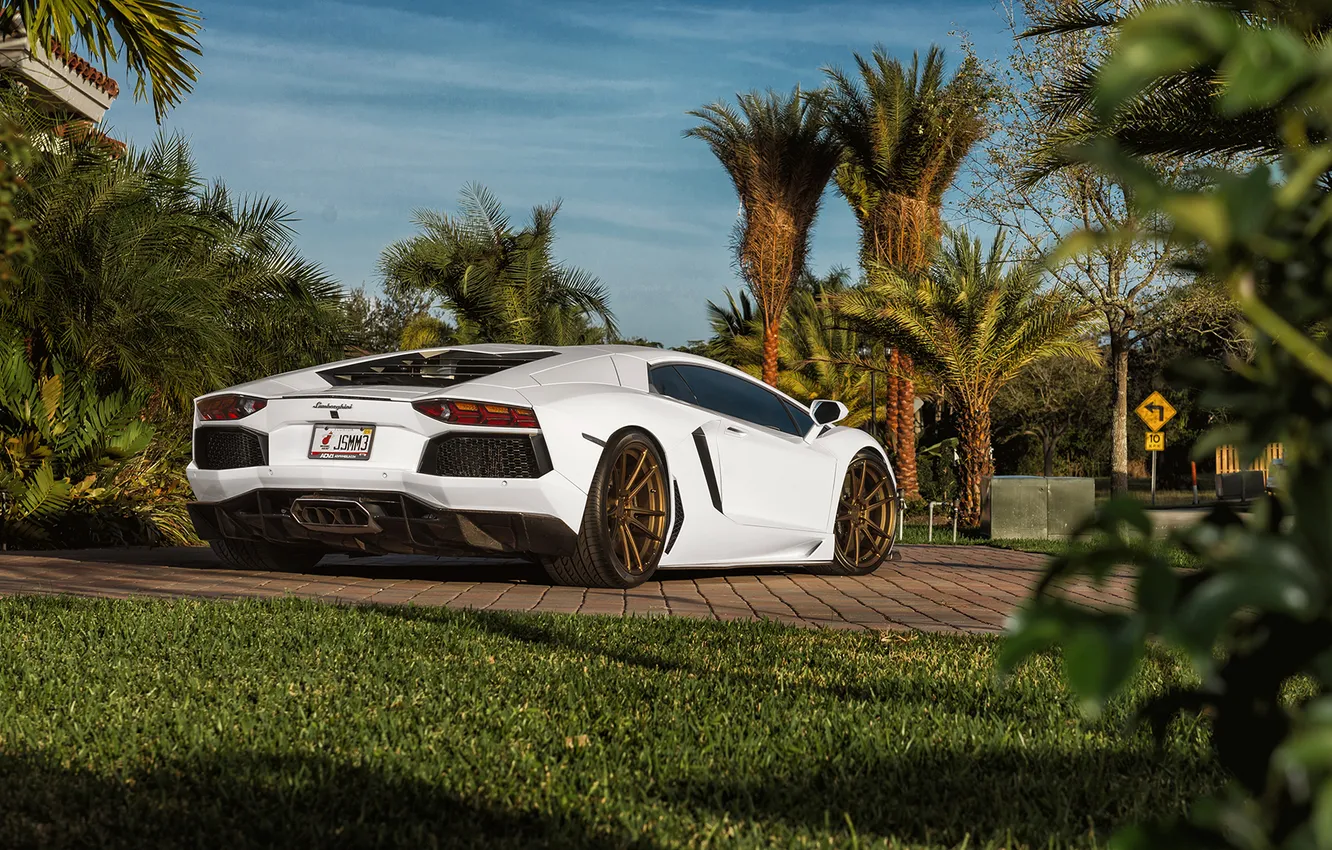 Photo wallpaper Lamborghini, wallpaper, Aventador, Lamborghini Aventador