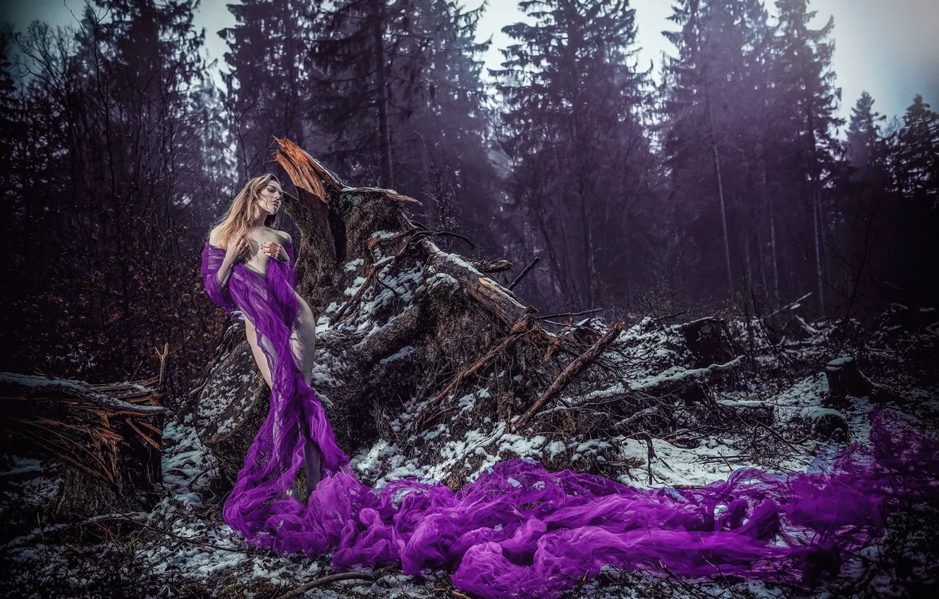 Photo wallpaper forest, girl, pose, the situation, figure, shawl, driftwood, ULTRAVIOLET