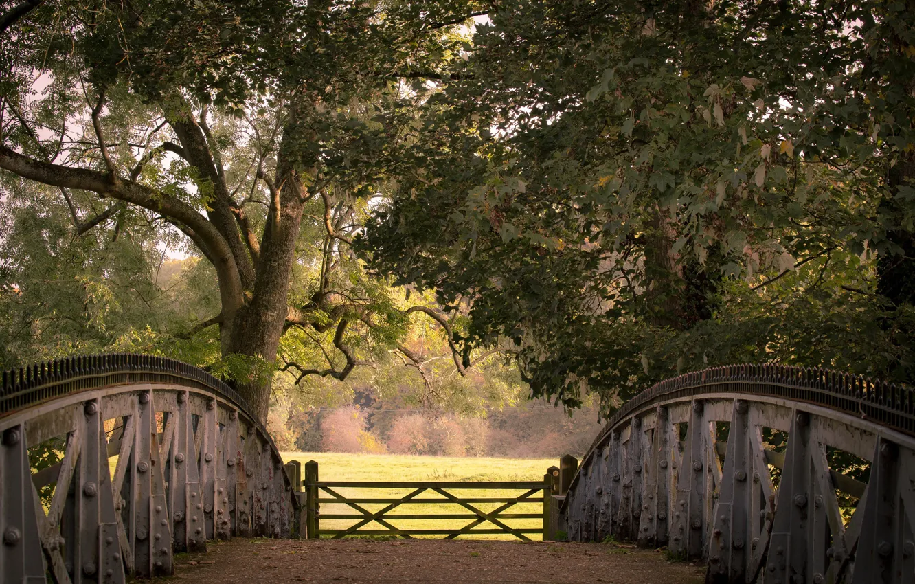 Photo wallpaper autumn, trees, bridge, England, gate, England, Berkshire, Berkshire