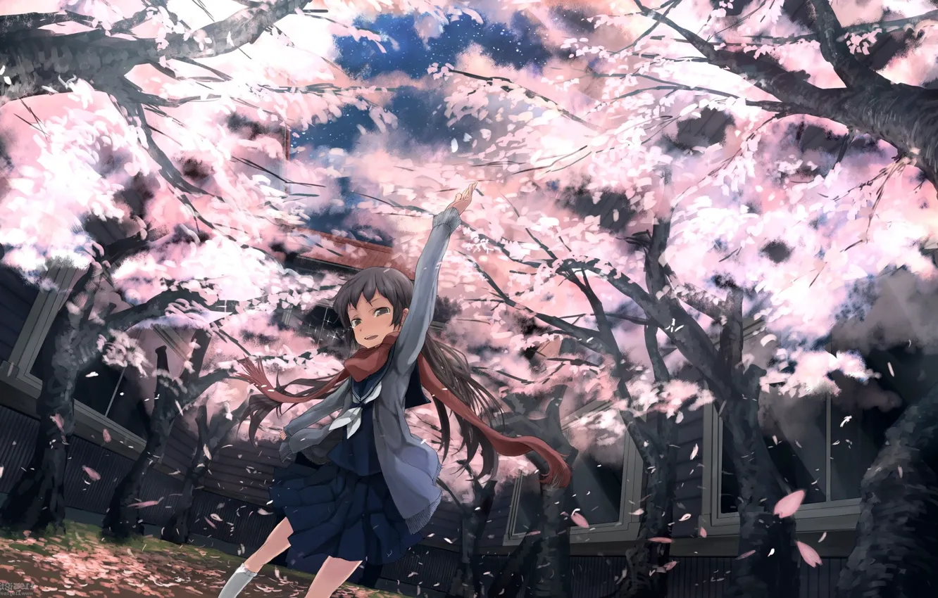 Photo wallpaper girl, schoolgirl, cherry blossoms