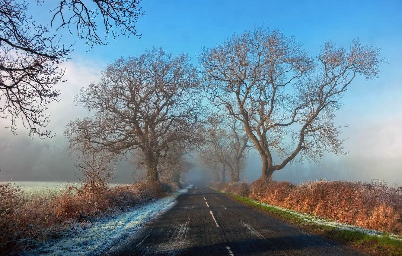 Photo wallpaper winter, road, morning