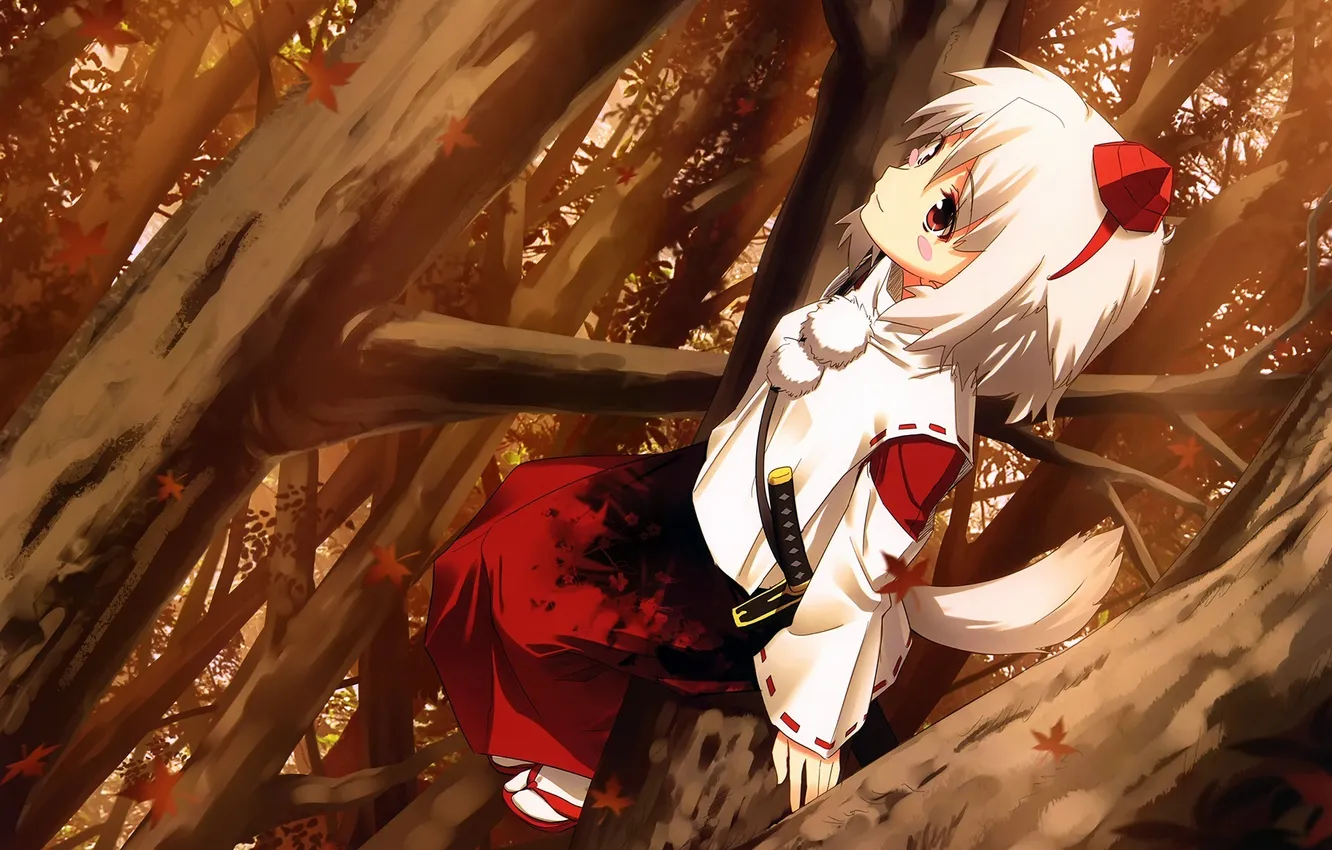 Photo wallpaper girl, sword, maple, touhou, tenge