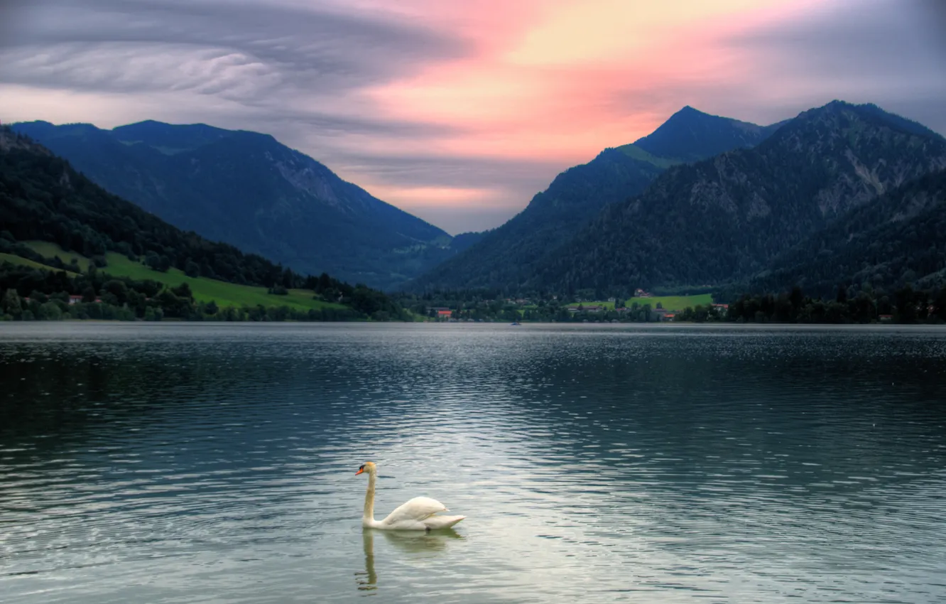 Photo wallpaper sunset, mountains, Bayern, Swan, Tegernsee, the agg