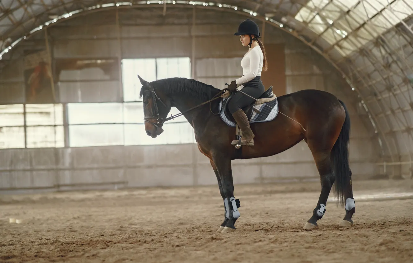 Photo wallpaper girl, light, horse, horse, blouse, helmet, rider, saddle