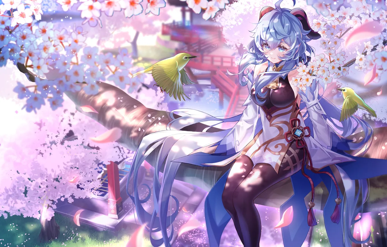 Photo wallpaper girl, bird, Sakura, flowering, Genshin Impact, Ganyu