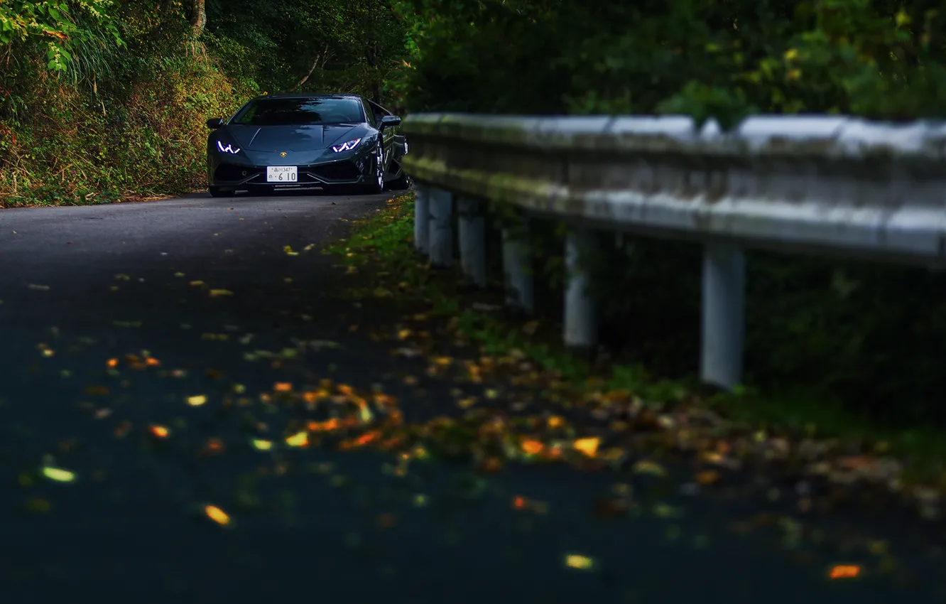 Photo wallpaper road, autumn, forest, Lamborghini Hurricane