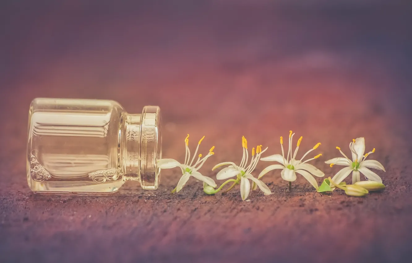 Photo wallpaper background, petals, Bank