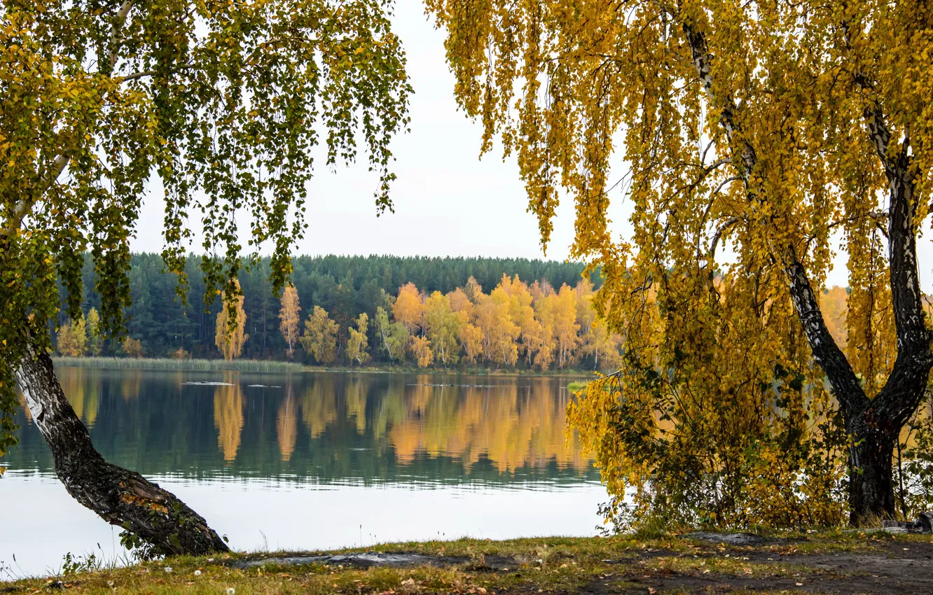 Photo wallpaper autumn, trees, nature, river, photo