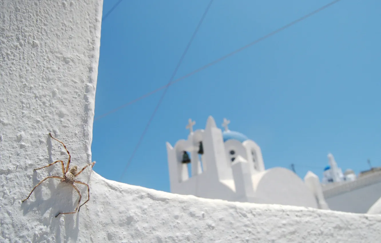 Photo wallpaper white, the sky, blue, spider, Church