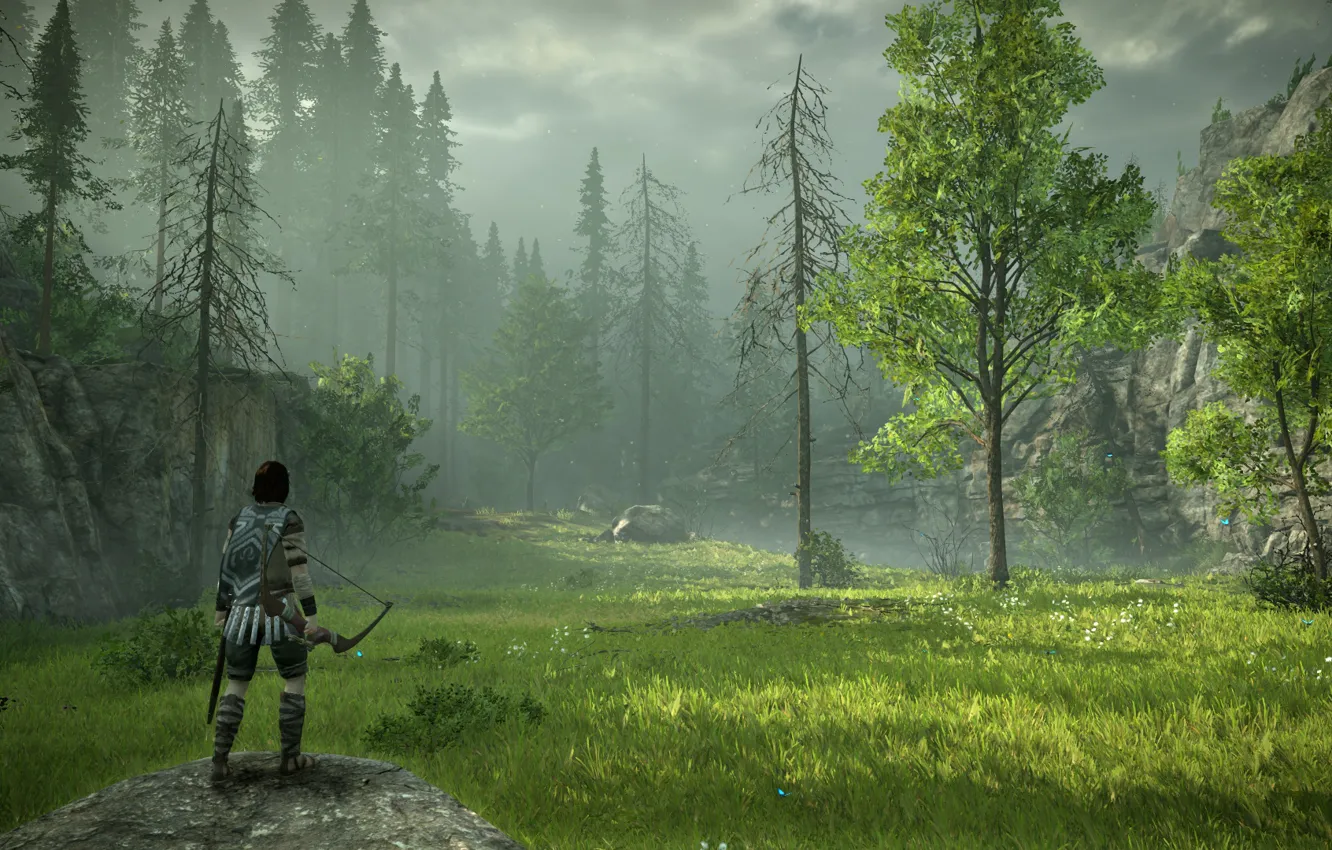 Photo wallpaper forest, grass, meadow, Shadow of the Colossus, In the shadow of the colossus
