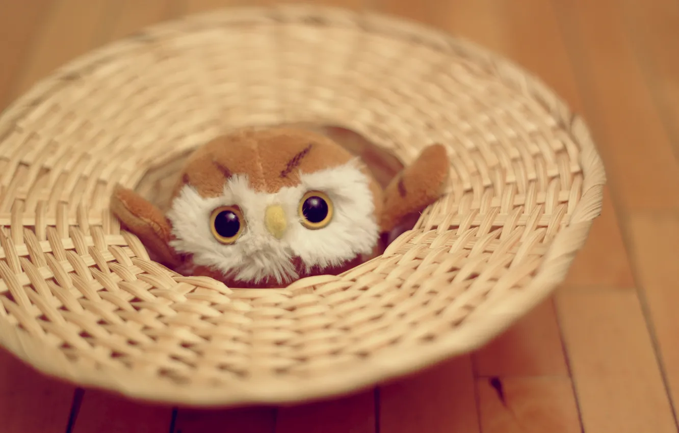 Photo wallpaper eyes, owl, toy, soft