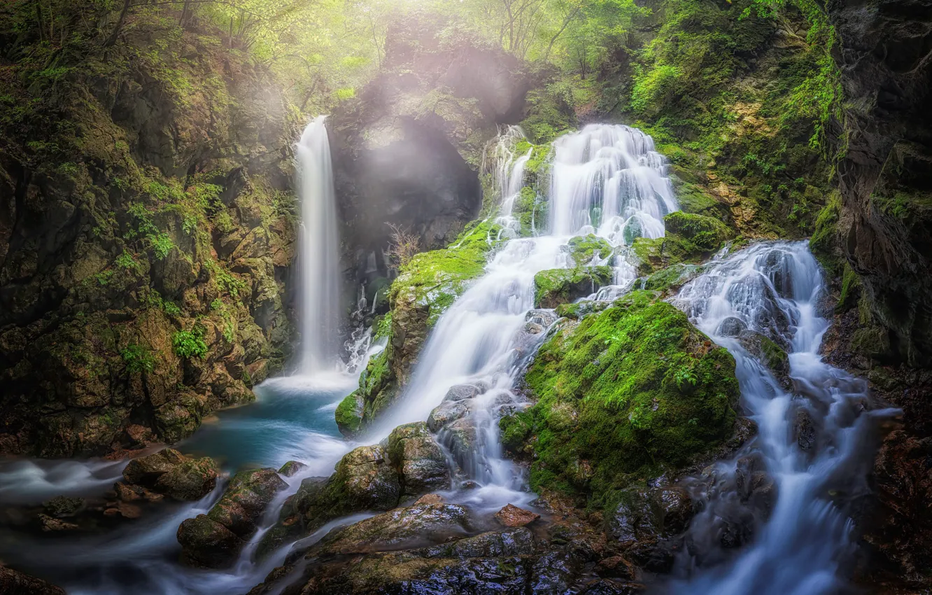 Photo wallpaper forest, waterfall, stream