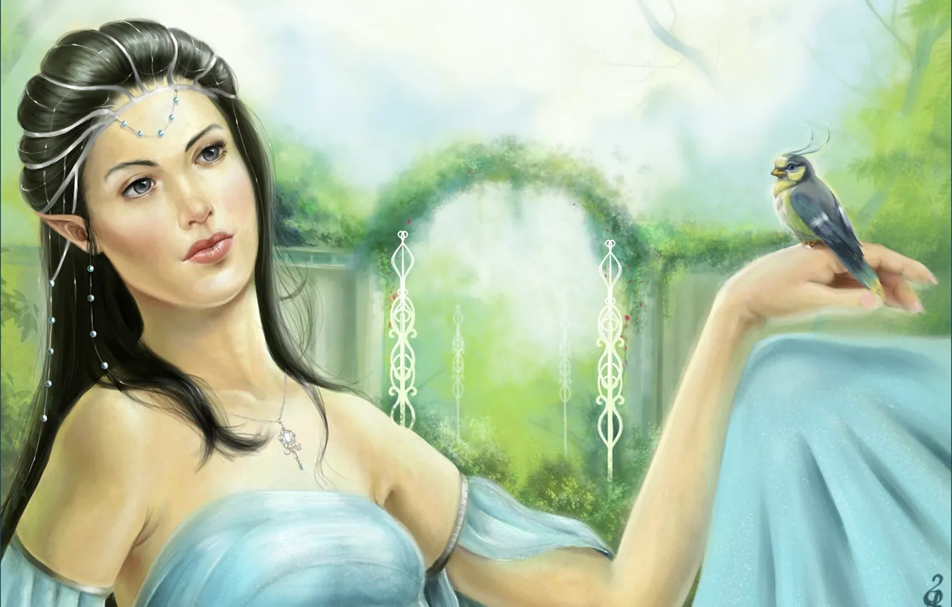 Photo wallpaper girl, bird, fantasy, art, elf, Meneliel