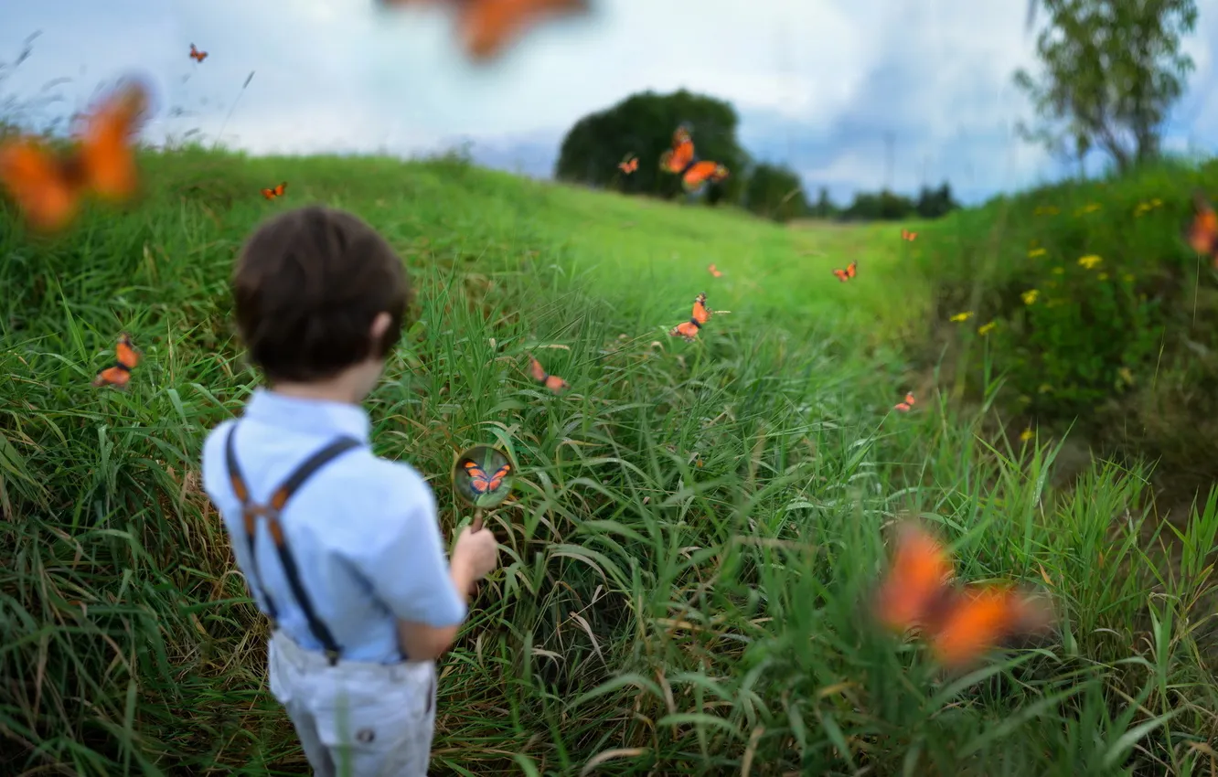 Photo wallpaper butterfly, boy, young naturalist, Austin Tott