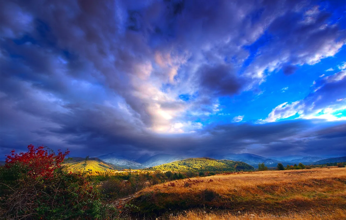Photo wallpaper the sky, grass, clouds, mountains, hills, the bushes