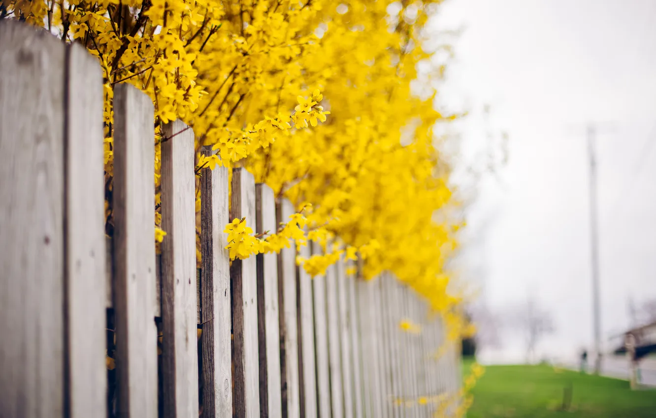 Photo wallpaper the city, street, the fence