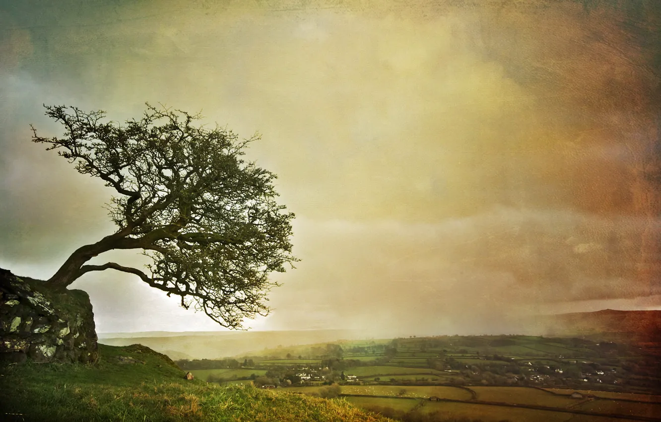 Photo wallpaper landscape, style, tree
