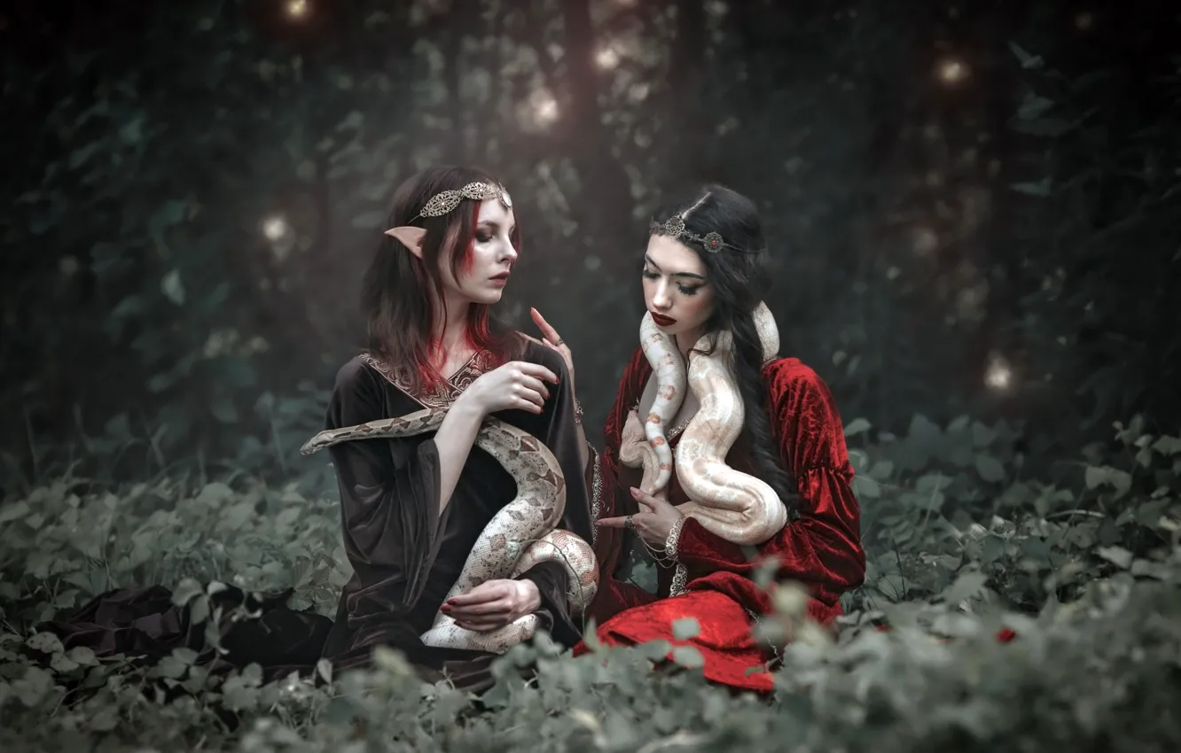Photo wallpaper girl, elf, snake