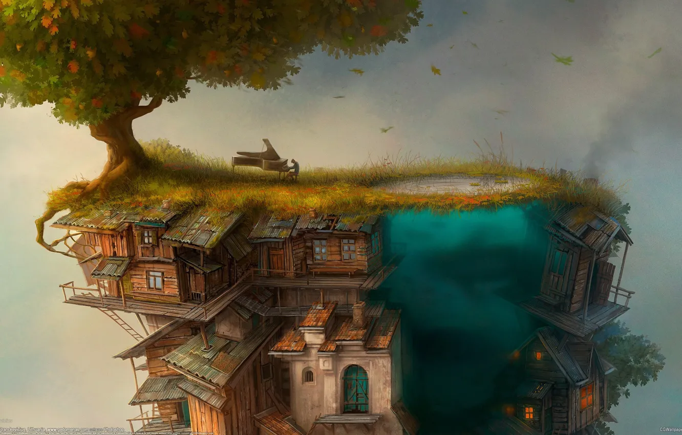 Photo wallpaper trees, home, piano, Gediminas Pranckevicius