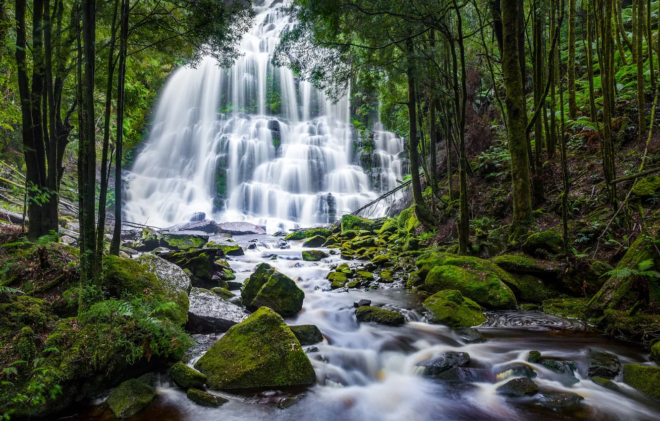 Photo wallpaper forest, nature, river, waterfall