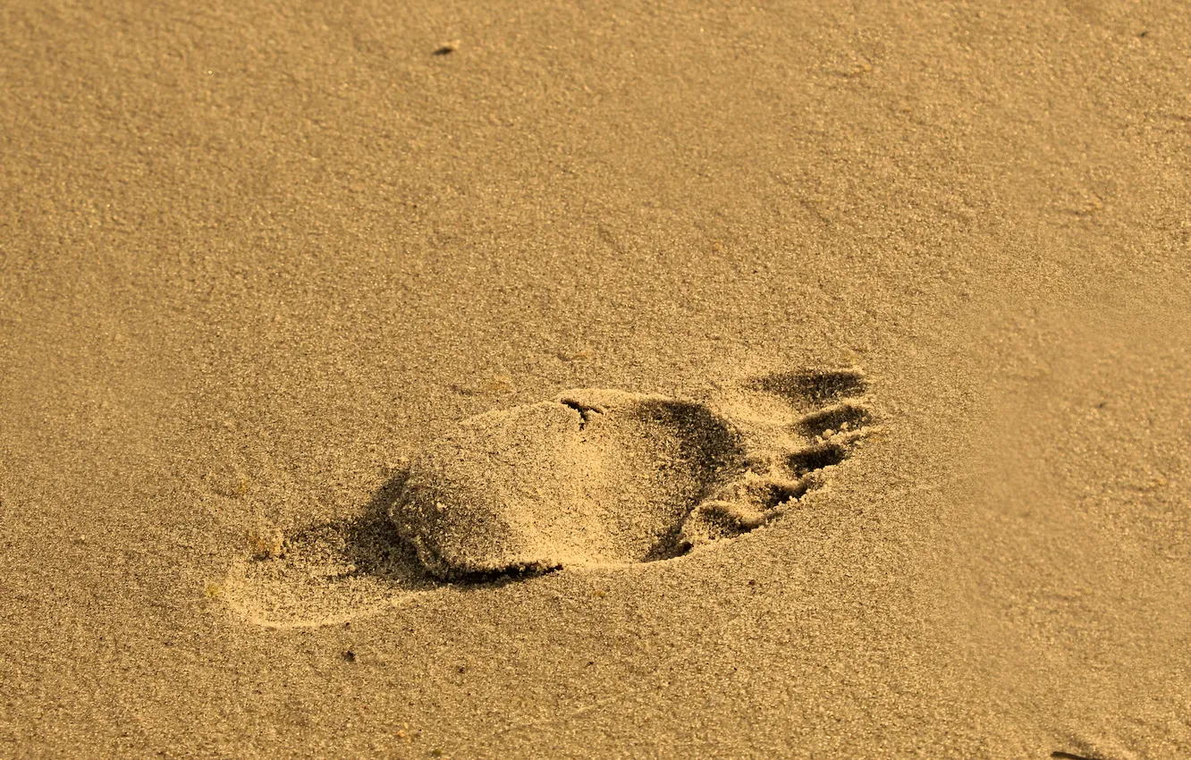 Photo wallpaper beach, sand, foot, trace