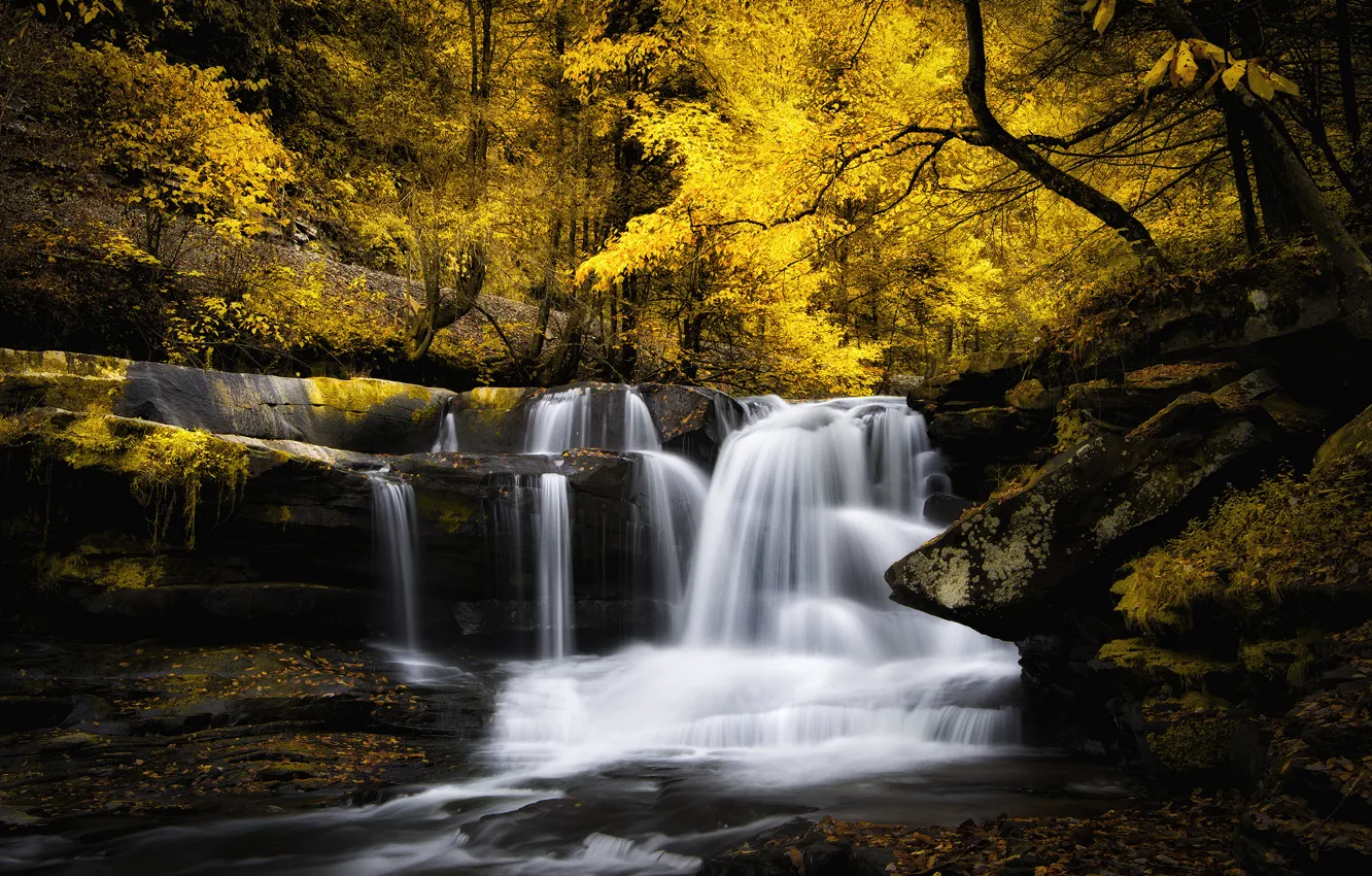 Photo wallpaper autumn, leaves, trees, stream, waterfall, rock