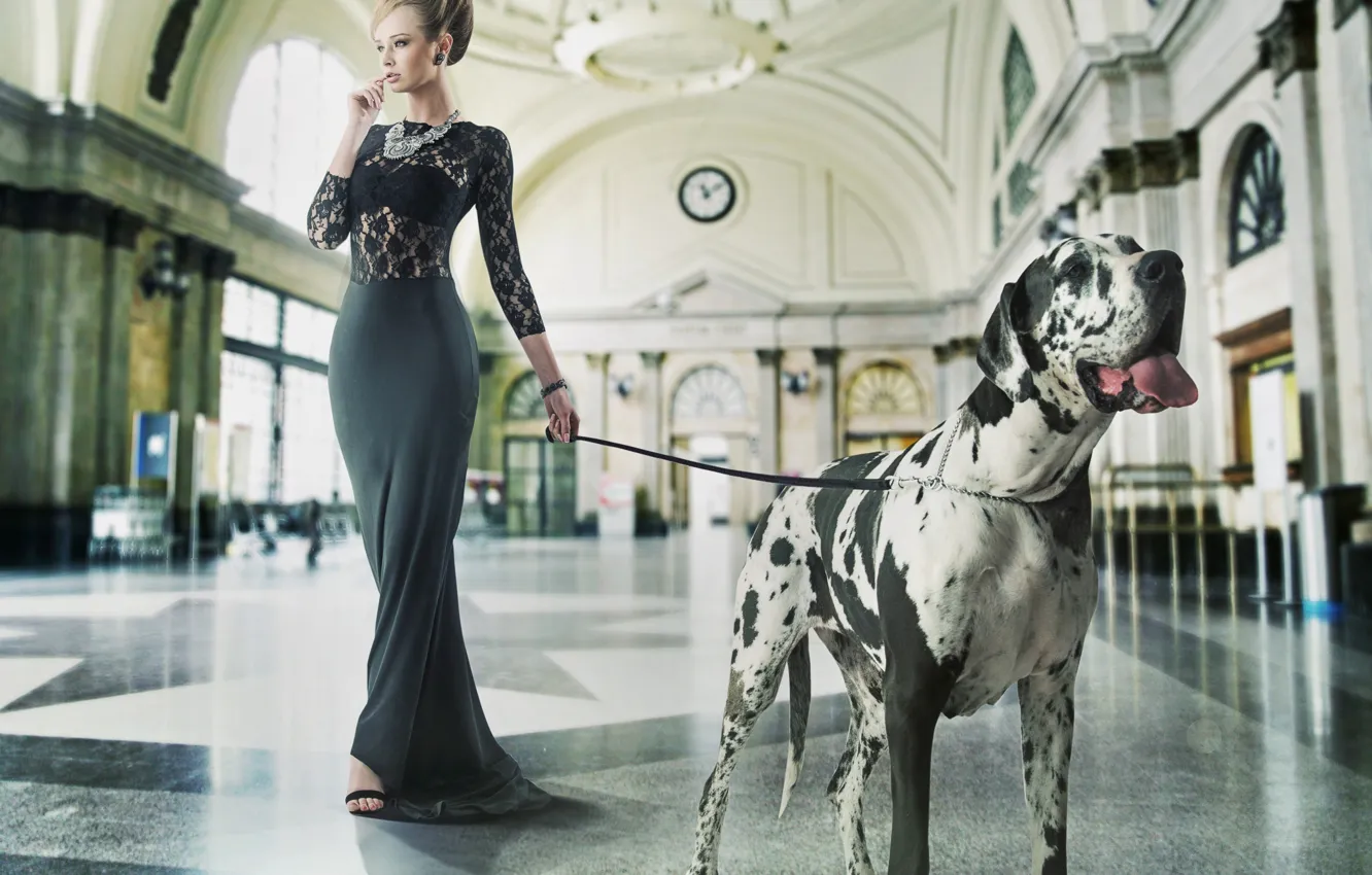 Photo wallpaper girl, dog, makeup, figure, dress, hairstyle, leash, hall