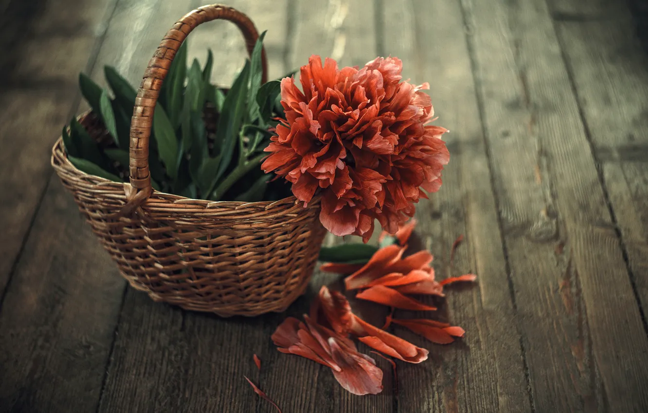 Photo wallpaper flowers, basket, Board, petals, peonies