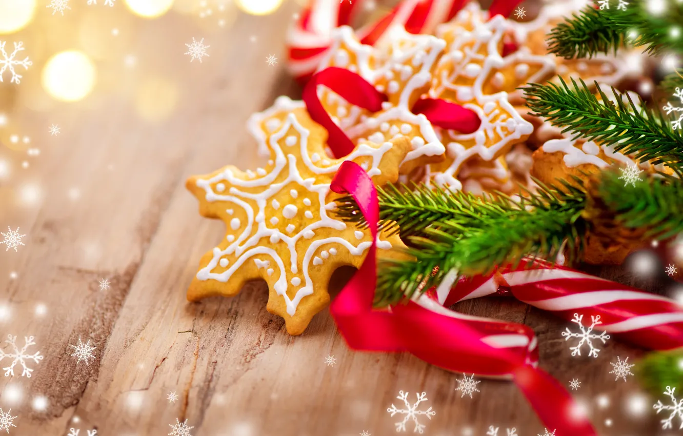 Photo wallpaper spruce, decor, liver, treat