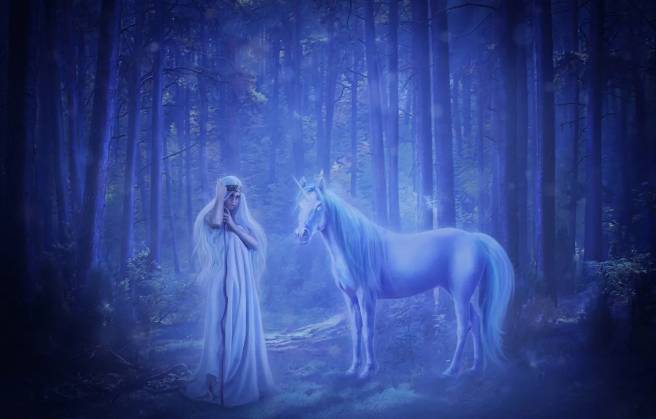 Photo wallpaper forest, girl, fantasy, unicorn, virgin