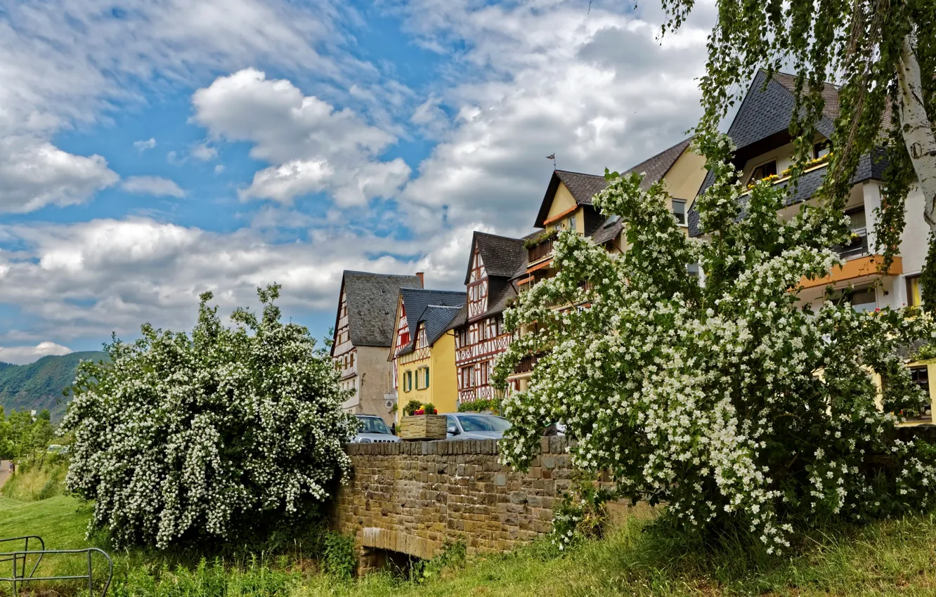 Photo wallpaper the sky, grass, clouds, trees, mountains, home, Germany, blooms
