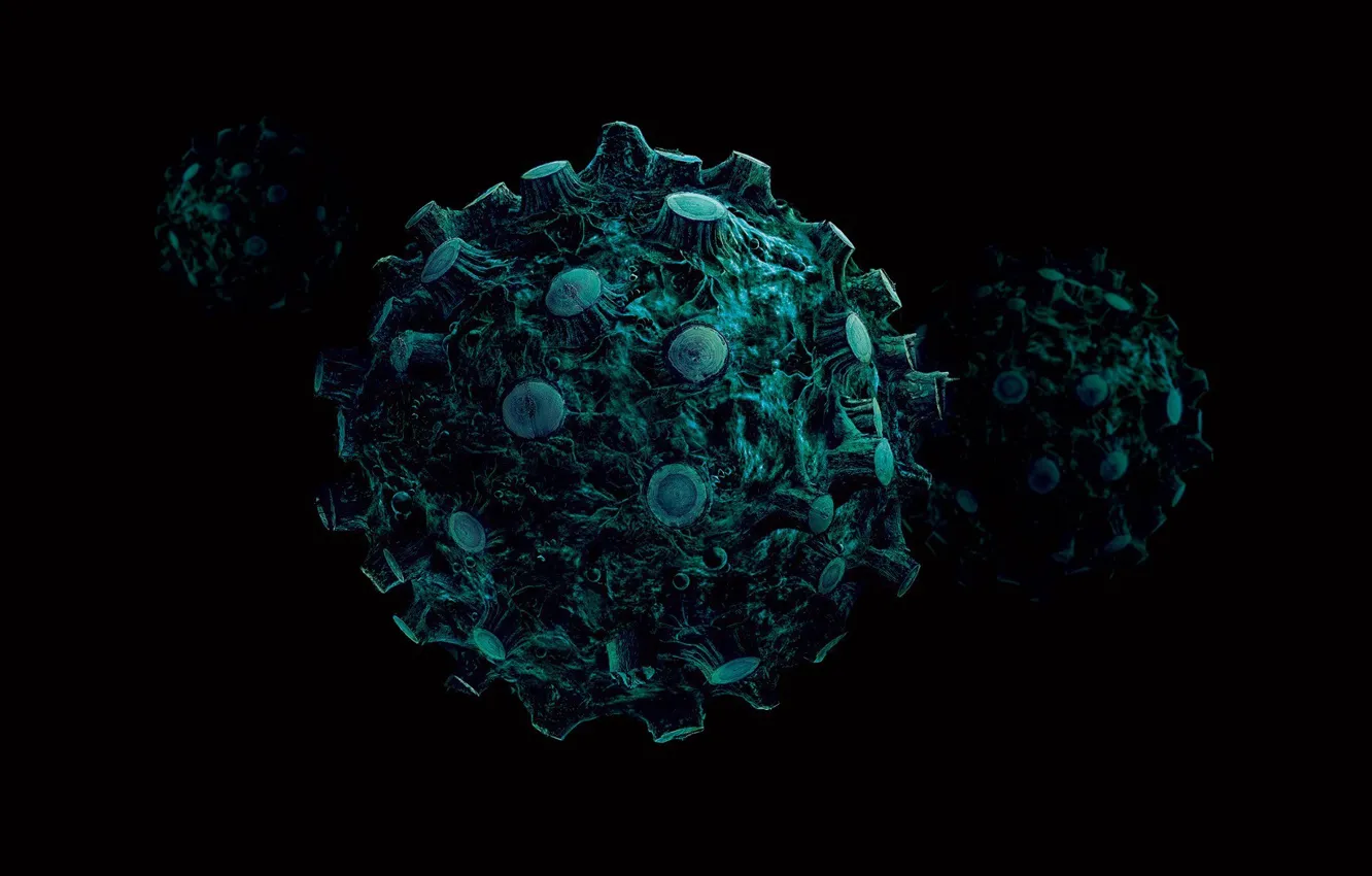 Photo wallpaper black, cell, stumps