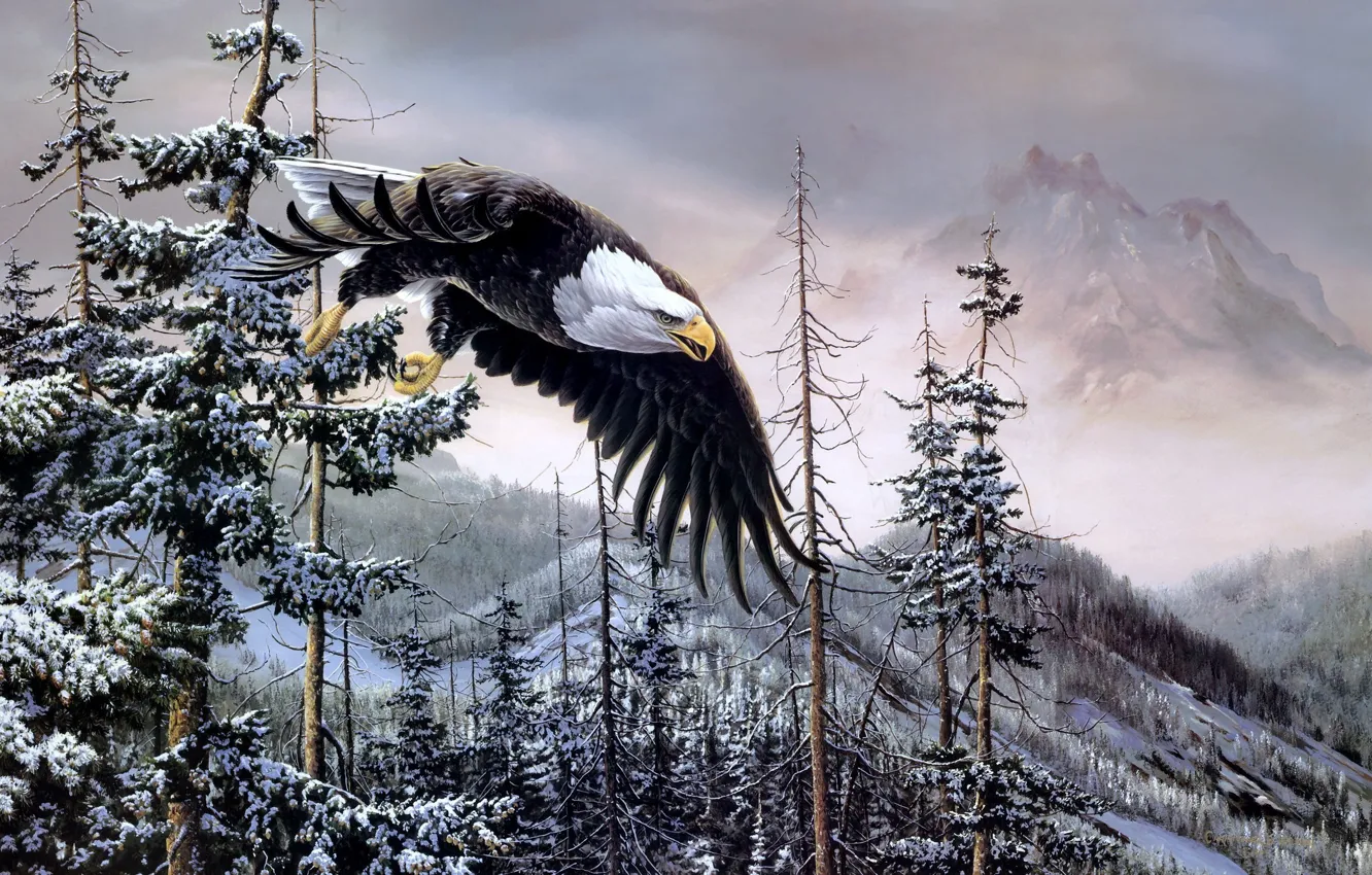Photo wallpaper forest, snow, mountains, eagle
