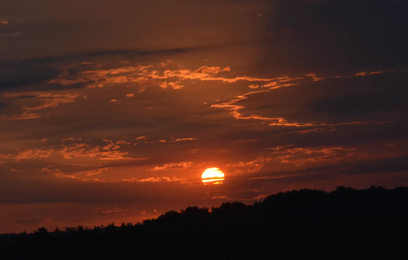 Photo wallpaper the sun, clouds, dawn, morning, derevya