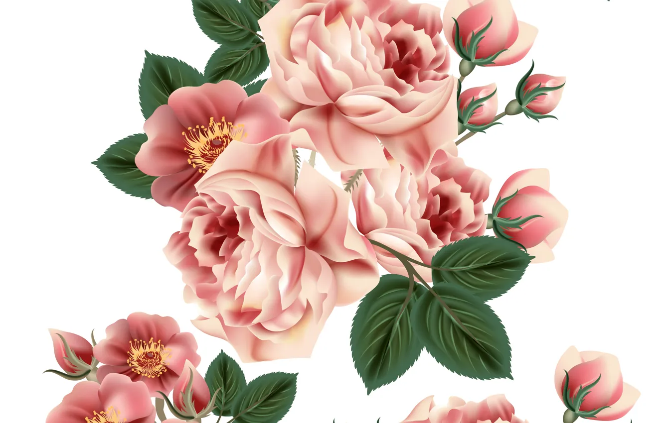 Photo wallpaper white, flowers, background, roses, texture