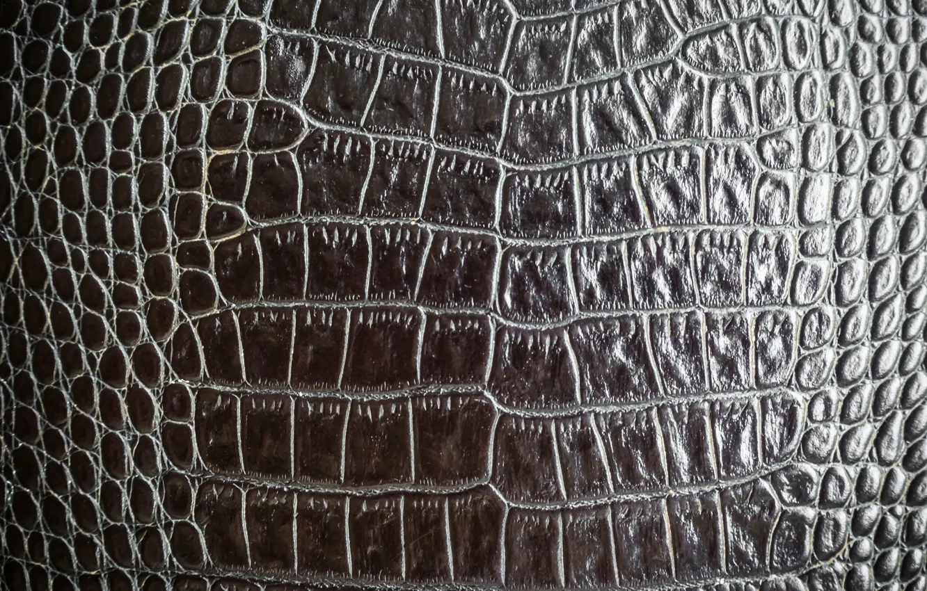 Photo wallpaper Black, Leather, Texture