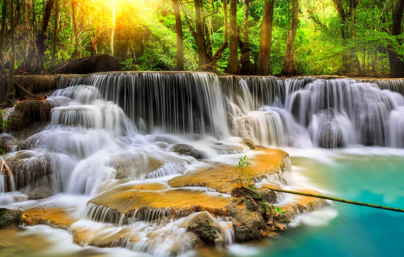 Photo wallpaper forest, trees, river, stones, waterfall, treatment, stream, Thailand