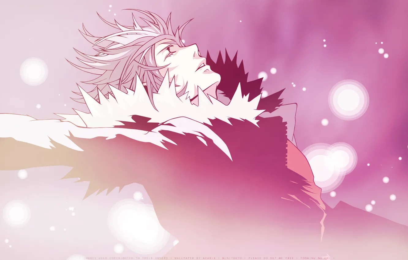 Photo wallpaper anime, The Blood Of The Guilty Dog, Togainu no Chi