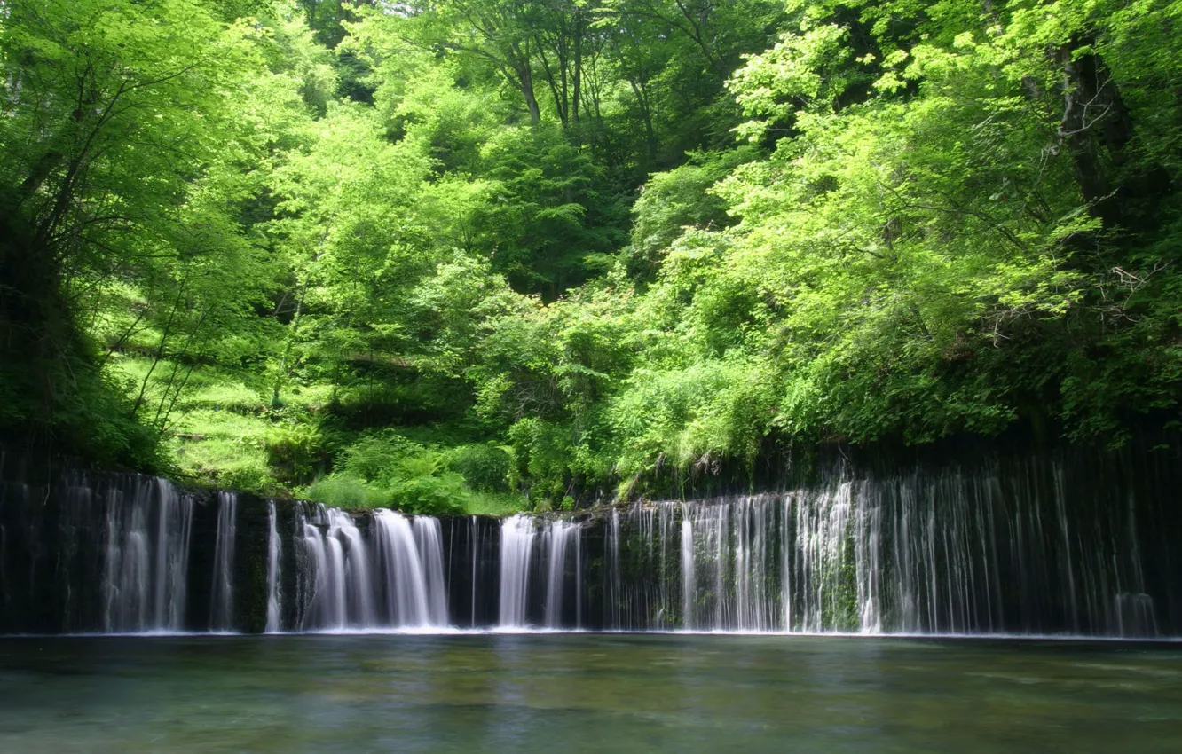 Photo wallpaper forest, water, Waterfall