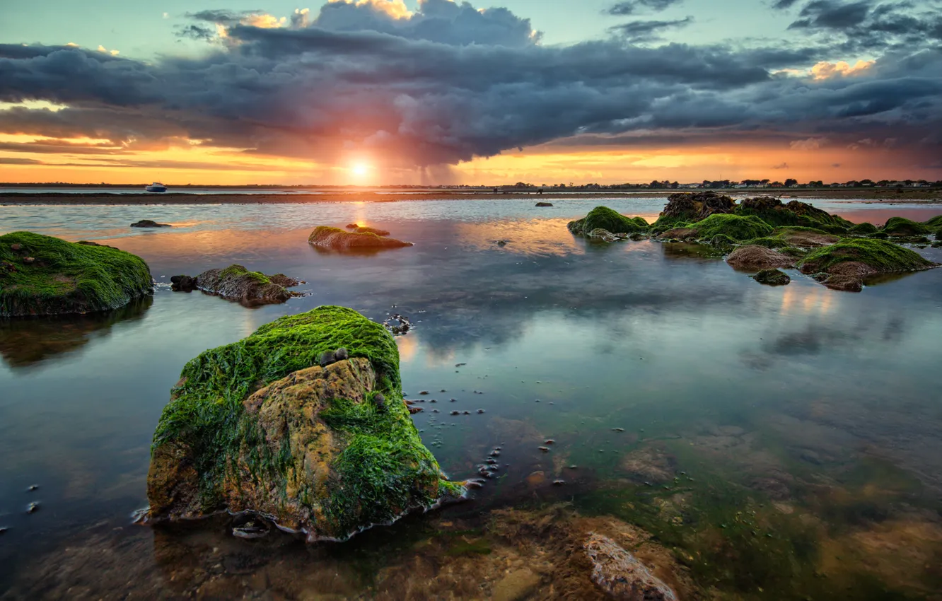 Photo wallpaper clouds, algae, sunset, stones, Bay, rain