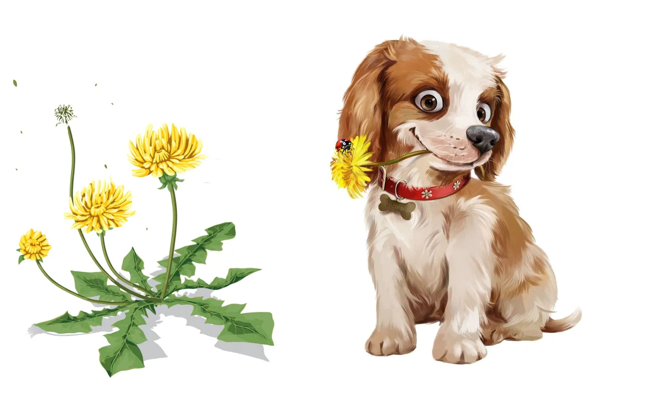 Photo wallpaper dandelion, art, puppy, dog, children's