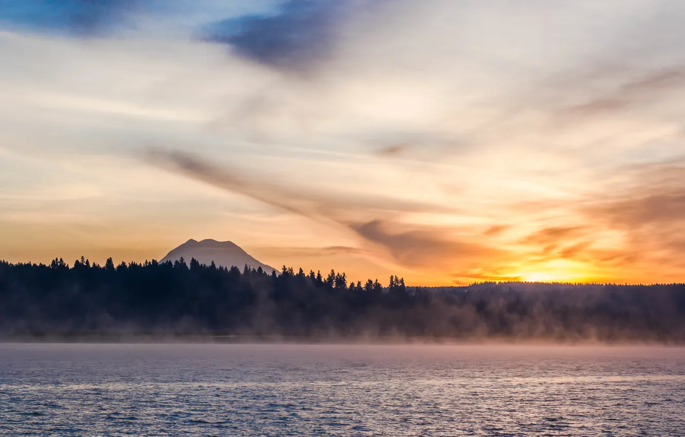 Photo wallpaper the sky, landscape, nature, fog, dawn