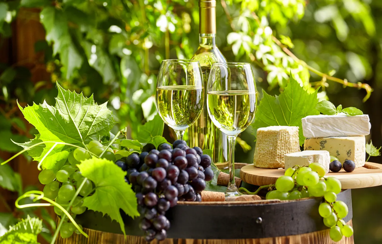 Photo wallpaper greens, leaves, wine, bottle, cheese, garden, glasses, grapes