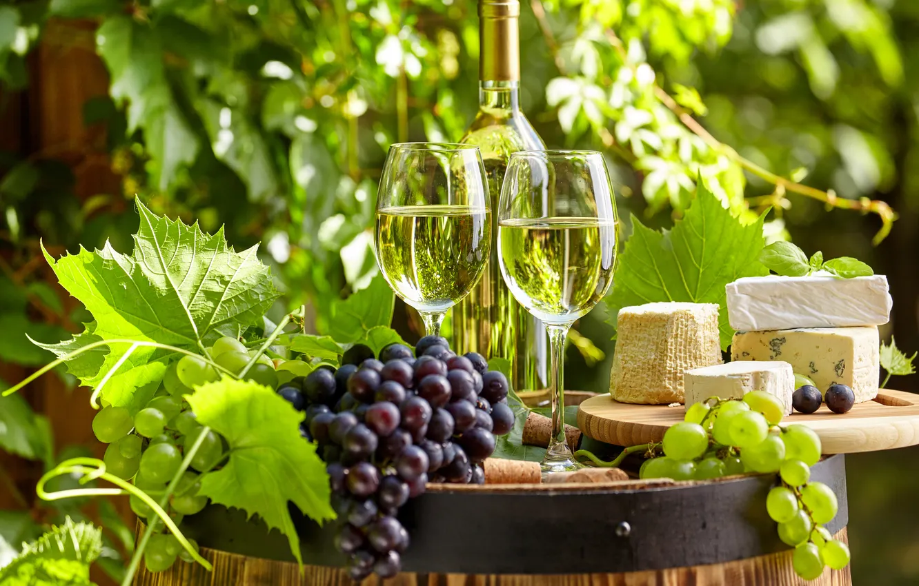 Photo wallpaper greens, leaves, wine, glass, bottle, cheese, garden, grapes